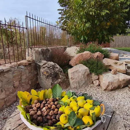 Mas Lloreto - La Oreneta Apartment Copons